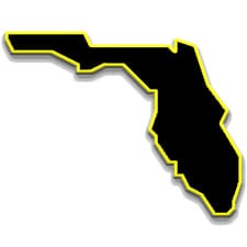 Florida Icon yellow
