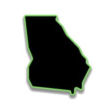 Georgia State Icon Green