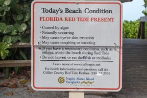 Red Tide Warning sign